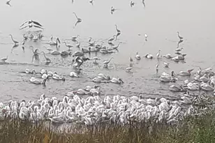 38038 Modoc Point Rd, Chiloquin, OR 97624 - Photo 44