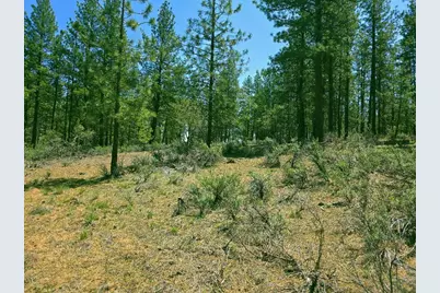 0 Elde Street #20, Chiloquin, OR 97624 - Photo 2