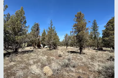 69580 Pine Ridge Drive, Sisters, OR 97759 - Photo 14