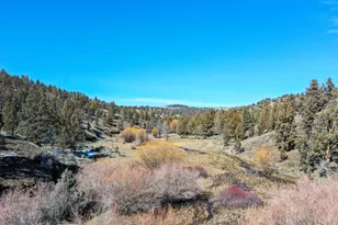 25405 SE Bear Creek Rd, Prineville, OR 97754 - Photo 58
