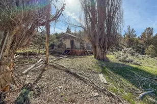 25405 SE Bear Creek Rd, Prineville, OR 97754 - Photo 40