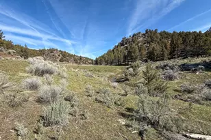 25405 SE Bear Creek Rd, Prineville, OR 97754 - Photo 44