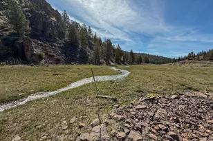 25405 SE Bear Creek Rd, Prineville, OR 97754 - Photo 48