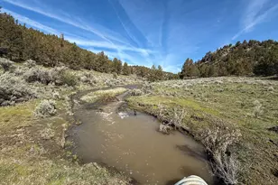 25405 SE Bear Creek Rd, Prineville, OR 97754 - Photo 46