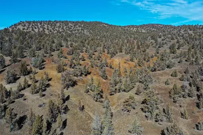 25405 SE Bear Creek Road, Prineville, OR 97754 - Photo 56