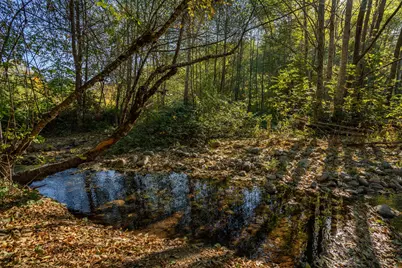 7903 Caves Highway, Cave Junction, OR 97523 - Photo 72