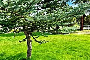 13458 Cedar Trail, Klamath Falls, OR 97603 - Photo 10