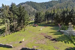 13291 Hwy 238, Jacksonville, OR 97530 - Photo 72