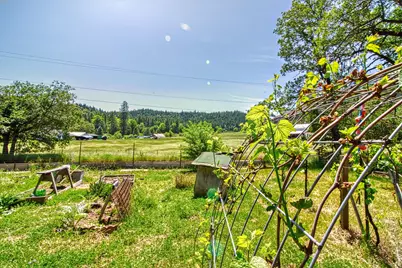 500 Warren Road, Selma, OR 97538 - Photo 20