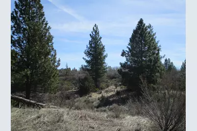 Sportsman Lane #Lots 36 & 37, Chiloquin, OR 97624 - Photo 4