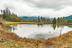 3220 Deer Creek Rd, Selma, OR 97538 - Photo 8