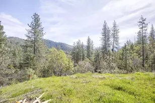 4509 Humbug Creek Rd, Jacksonville, OR 97530 - Photo 46