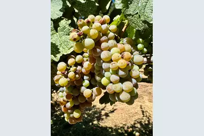 350 Mona Way, Cave Junction, OR 97523 - Photo 30