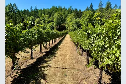 350 Mona Way, Cave Junction, OR 97523 - Photo 26