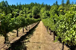 350 Mona Way, Cave Junction, OR 97523 - Photo 26