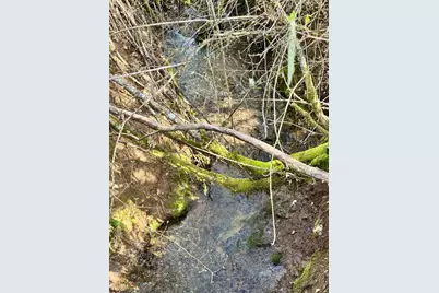 350 Mona Way, Cave Junction, OR 97523 - Photo 32