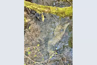 350 Mona Way, Cave Junction, OR 97523 - Photo 22