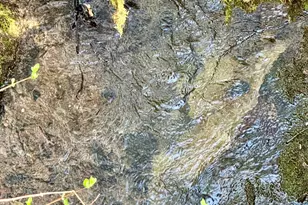 350 Mona Way, Cave Junction, OR 97523 - Photo 22