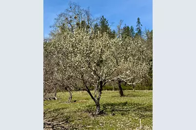 350 Mona Way, Cave Junction, OR 97523 - Photo 24