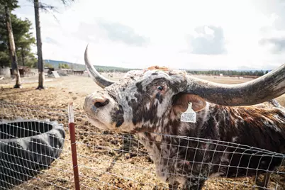 1052 S Airport Drive, Crescent, OR 97733 - Photo 46