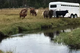 1052 S Airport Dr, Crescent, OR 97733 - Photo 50