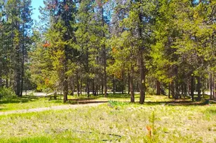 56234 Black Duck Rd, Bend, OR 97707 - Photo 6