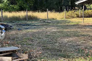 541 Caves Hwy, Cave Junction, OR 97523 - Photo 8