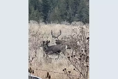 44765 Alder Creek Road, Fossil, OR 97830 - Photo 60