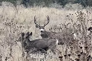 44765 Alder Creek Rd, Fossil, OR 97830 - Photo 60