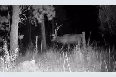 44765 Alder Creek Road, Fossil, OR 97830 - Photo 52