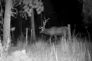 44765 Alder Creek Rd, Fossil, OR 97830 - Photo 52