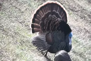 44765 Alder Creek Rd, Fossil, OR 97830 - Photo 62