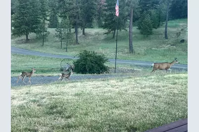 44765 Alder Creek Road, Fossil, OR 97830 - Photo 66