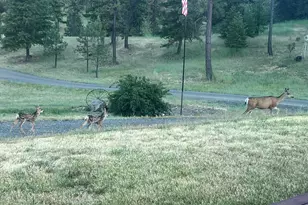 44765 Alder Creek Rd, Fossil, OR 97830 - Photo 66