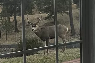 44765 Alder Creek Rd, Fossil, OR 97830 - Photo 50