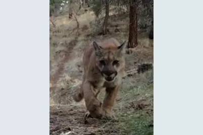 44765 Alder Creek Road, Fossil, OR 97830 - Photo 54