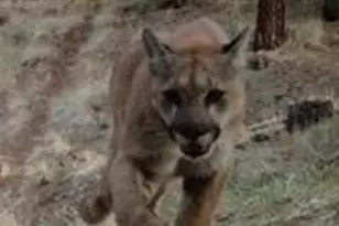 44765 Alder Creek Rd, Fossil, OR 97830 - Photo 54