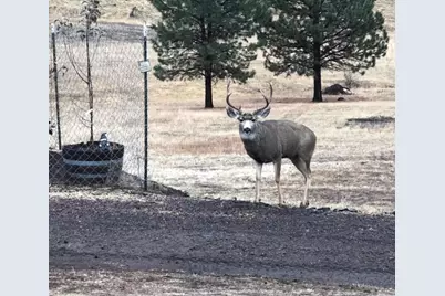 44765 Alder Creek Road, Fossil, OR 97830 - Photo 58