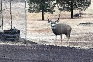 44765 Alder Creek Rd, Fossil, OR 97830 - Photo 58