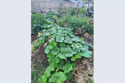 19494 Baker Road, Bend, OR 97702 - Photo 22