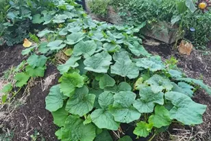 19494 Baker Rd, Bend, OR 97702 - Photo 22