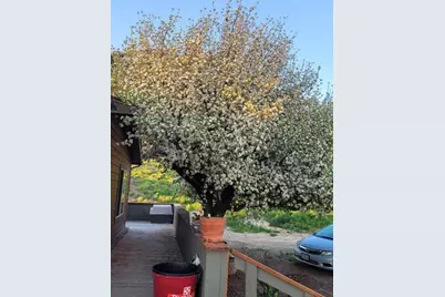 20893 Sprague River Road, Chiloquin, OR 97624 - Photo 8