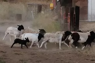 20893 Sprague River Rd, Chiloquin, OR 97624 - Photo 50