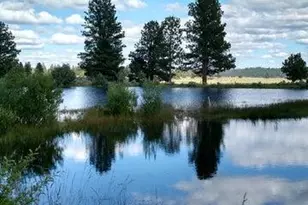 20893 Sprague River Rd, Chiloquin, OR 97624 - Photo 40