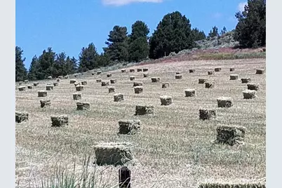 20893 Sprague River Road, Chiloquin, OR 97624 - Photo 54