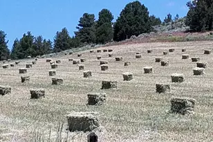 20893 Sprague River Rd, Chiloquin, OR 97624 - Photo 54