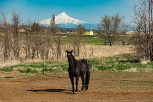 7626 SW Bear Dr, Culver, OR 97734 - Photo 64