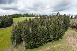 92884 Applegate Trail, Junction City, OR 97448 - Photo 18