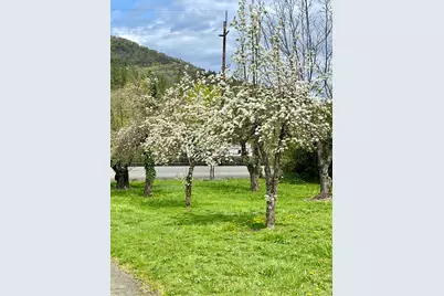 7015 Rogue River Highway, Grants Pass, OR 97527 - Photo 4