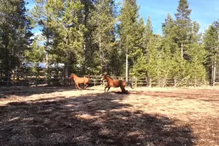 16506 Sprague Loop, La Pine, OR 97739 - Photo 34